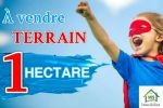 1 hectare à vendre à 170 md à birbourgba
