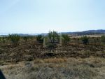 Un terrain de 4 hectares à vendre à 650 md