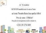 Réf 3033: terrain de 1600 m à 7 novembre bizerte