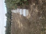 6 hectras pas loin de sousse