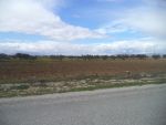 Bonne affaire terrain 5000 sur la route à bouficha