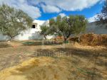 Joli terrain de 220 m² à vendre à 120 md à mrezga