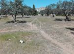 A vendre à mrezga à 228 md un joli terrain de 650 m²