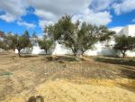 A vendre à 500 dtm² à mrezga un joli terrain de 220 m²