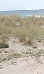 Terrain deuxième position de la mer à dar allouche