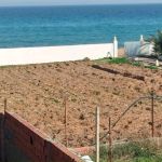 Lot de terrain pieds dans l'eau