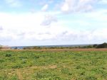 Terrain magnifique a kelibia dar allouch
