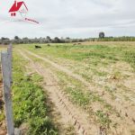 Lotissement à dar allouche