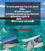 Un lotissement dar alouche