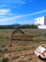 Terrain près de la mer terrain