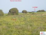 Terrain agric de 7985 avec titre bleu