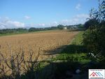 Terrain agricole de 5 hectares sakwi avec titre bleu
