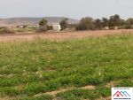 Terrain agricole de 2430 avec tbleu