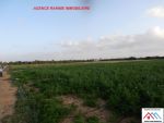 Ferme de 2 hectares et 570 avec titre bleu