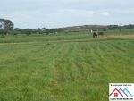 Ferme de 4 hectares et 6000 avec titre bleu