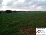 Terrain agricole de 1400 avec titre bleu