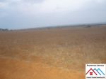 Terrain agricole de 19hectares 1078 titre bleu