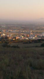Terrain el hawaria ref t