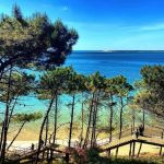 Une opportunité execlusive à ezzahra