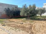 Terrain viabilisé bâtissable situé à hammamet nord