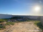 Vente terrain verte hammametcentre