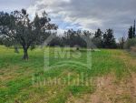 Superbe terrain de 5042 m² à vendre à 660 md