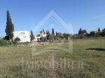 Lot de terrain à vendre à 530 dt m² à hammamet