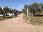 Un terrain à vendre à hammamet deux lots de terrain à 530 dtm²