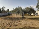 A vendre à hammamet un terrain clôturé de 1000 m²