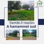 A vendre hammamet sud un terrain à 270 dt m²