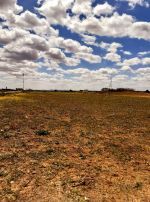 Av terrain a hammamet sud 52md