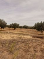 Av terrain agricole 1000m a monchar