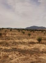 Av terrain 1000m a monchar