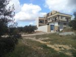 Av terrain 408m² a sidi hammed