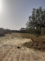 Av des lots 691m situé a sidi hammed