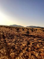 Av terrain de 45md a hammamed sud