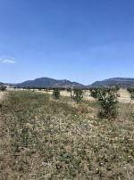 Av terrain de 140md a hammamet sud