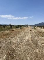 Av 8500m terrain a latrech hammamet