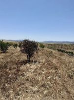 Av terrain de 6500m² a latrech