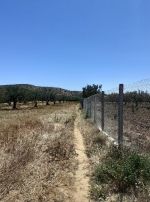 Av terrain de 3 hectares alatrech situé a hammamet