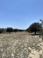 Av 5350m² de terrain a hammamet sud