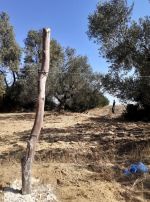 Av un terrain de 1456m² a hammamet