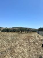Av terrain agricole de 3 hectares situee a hammamet