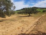 Av un terrain de 80md a hammamet sud