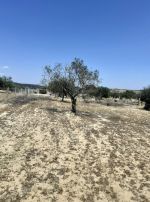 Av un terrain de 135md a hammamet