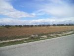 Av un terrain agricole 9000m² a landaria bouficha