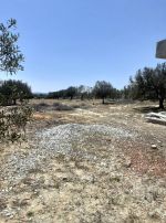 Av un terrain 5350m a hammamet sud
