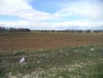 Av un terrain 9000m² a hammamet sud bouficha