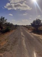 Av des lots de 400m² a hammamet sidi mtir