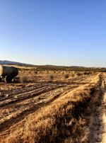 Av un terrain 1000m² a monchar hammamet